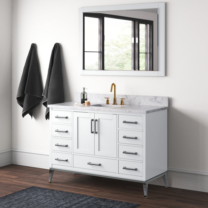 Mercury Row® Bruder 48'' Free Standing Single Bathroom Vanity with